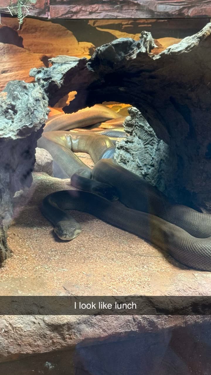 emxllouise snapchat image archive image