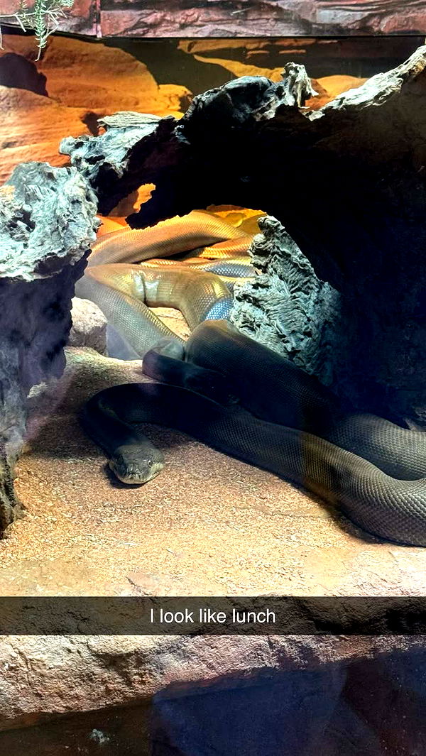 emxllouise image ~ Altpins