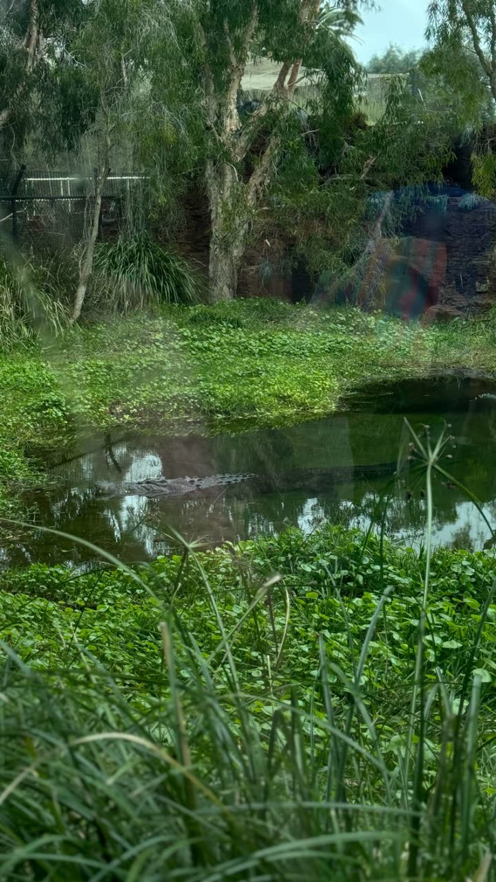 emxllouise snapchat image archive image