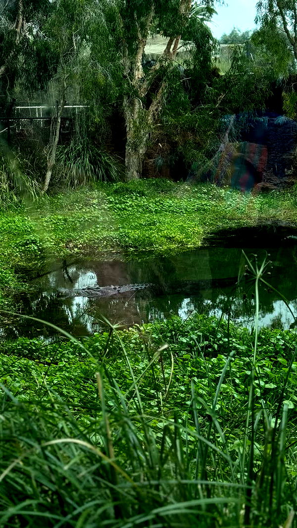 emxllouise image ~ Altpins