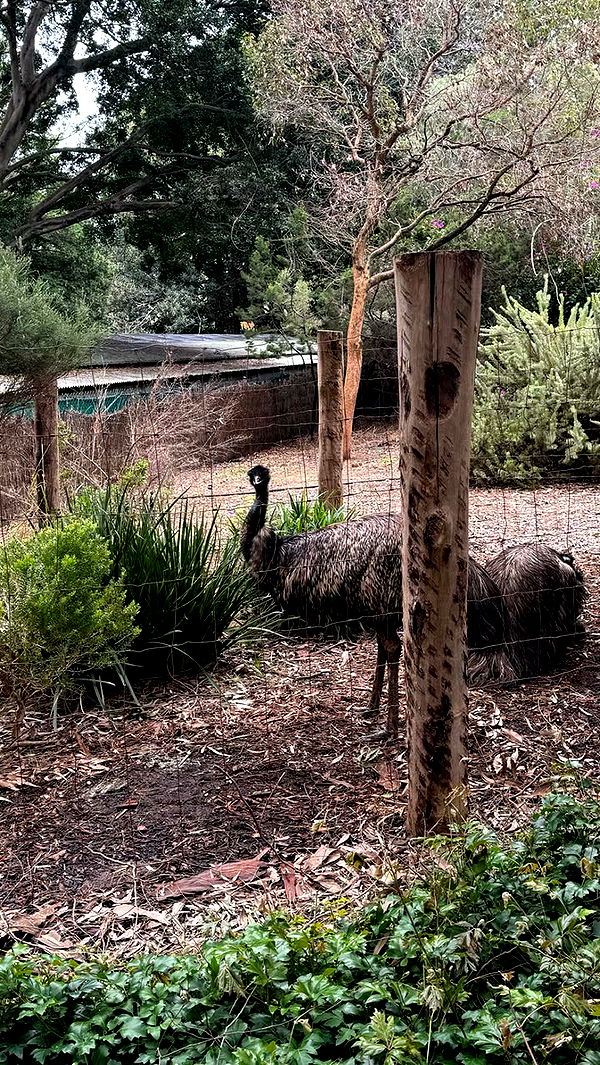 emxllouise image ~ Altpins