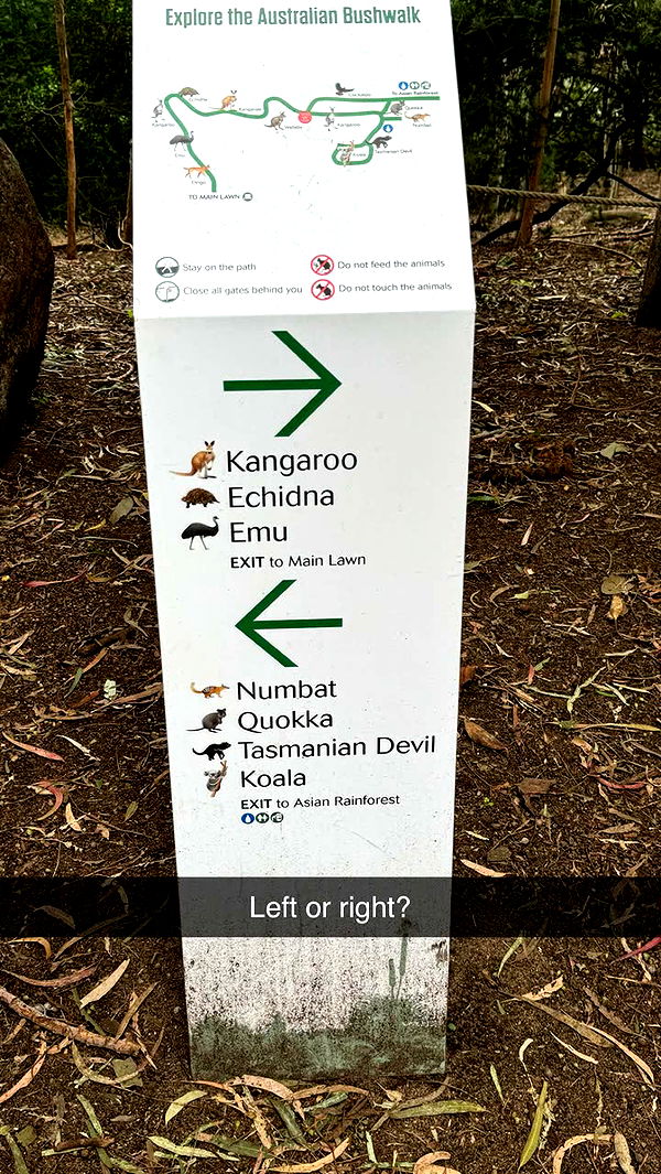 emxllouise image ~ Altpins