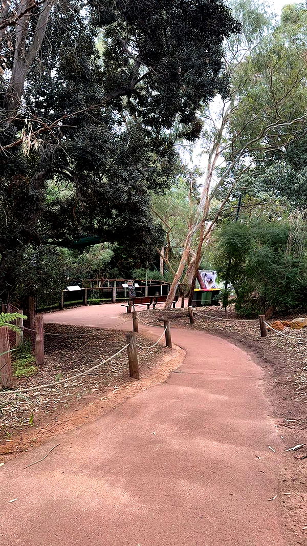 emxllouise image ~ Altpins