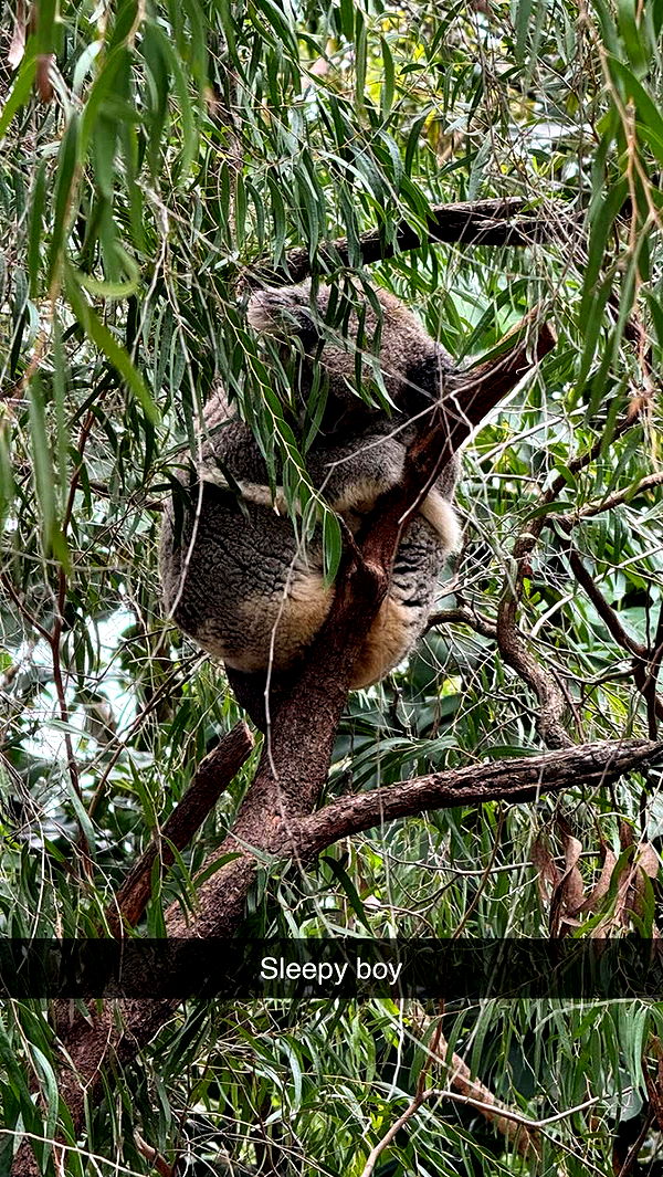 emxllouise image ~ Altpins