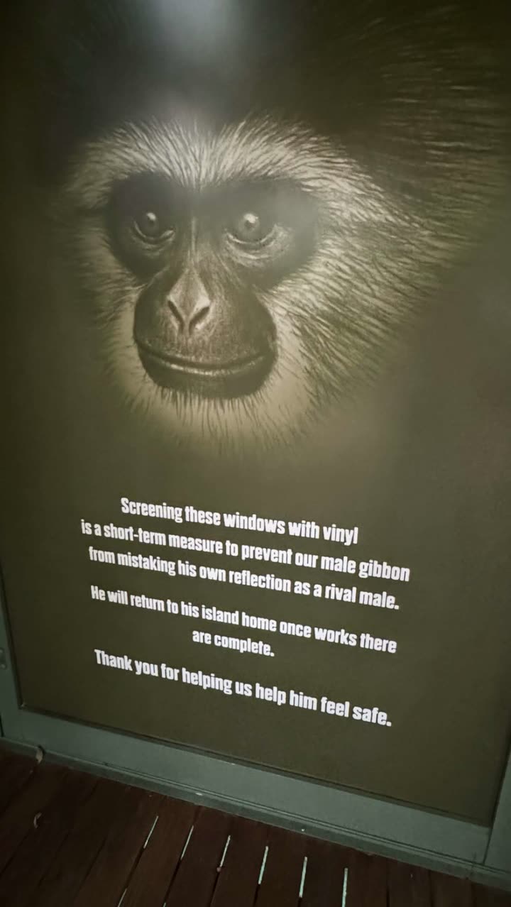 emxllouise snapchat image archive image