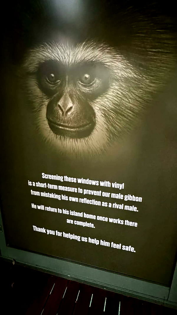 emxllouise image ~ Altpins