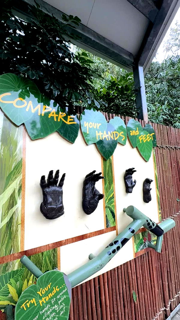 emxllouise image ~ Altpins