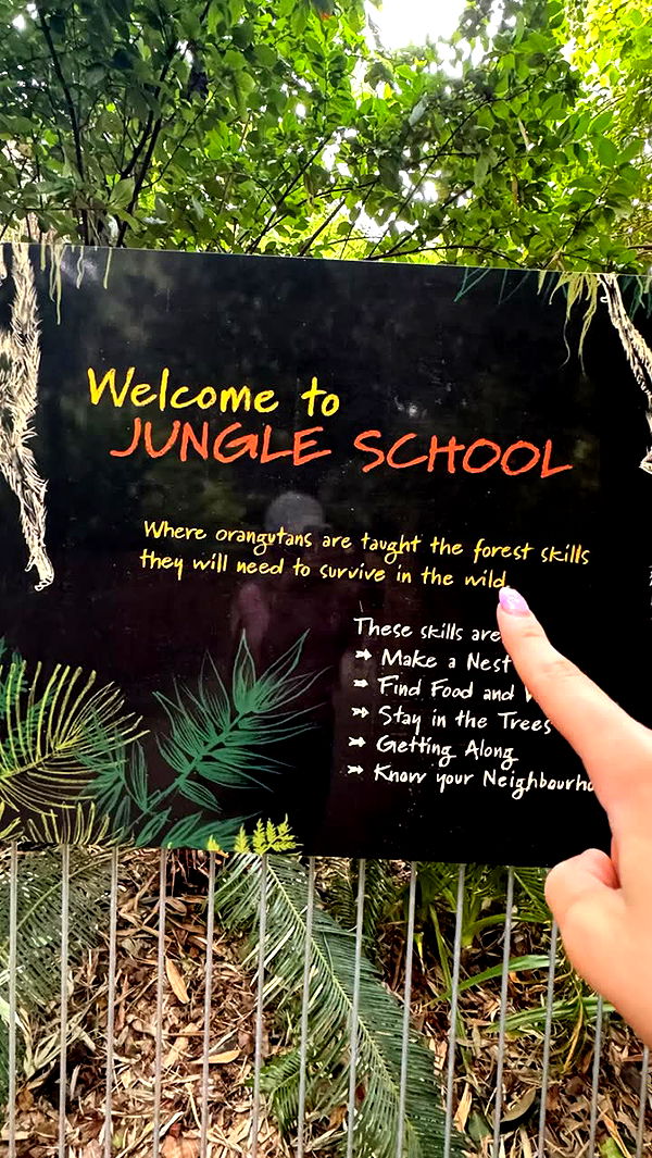 emxllouise image ~ Altpins