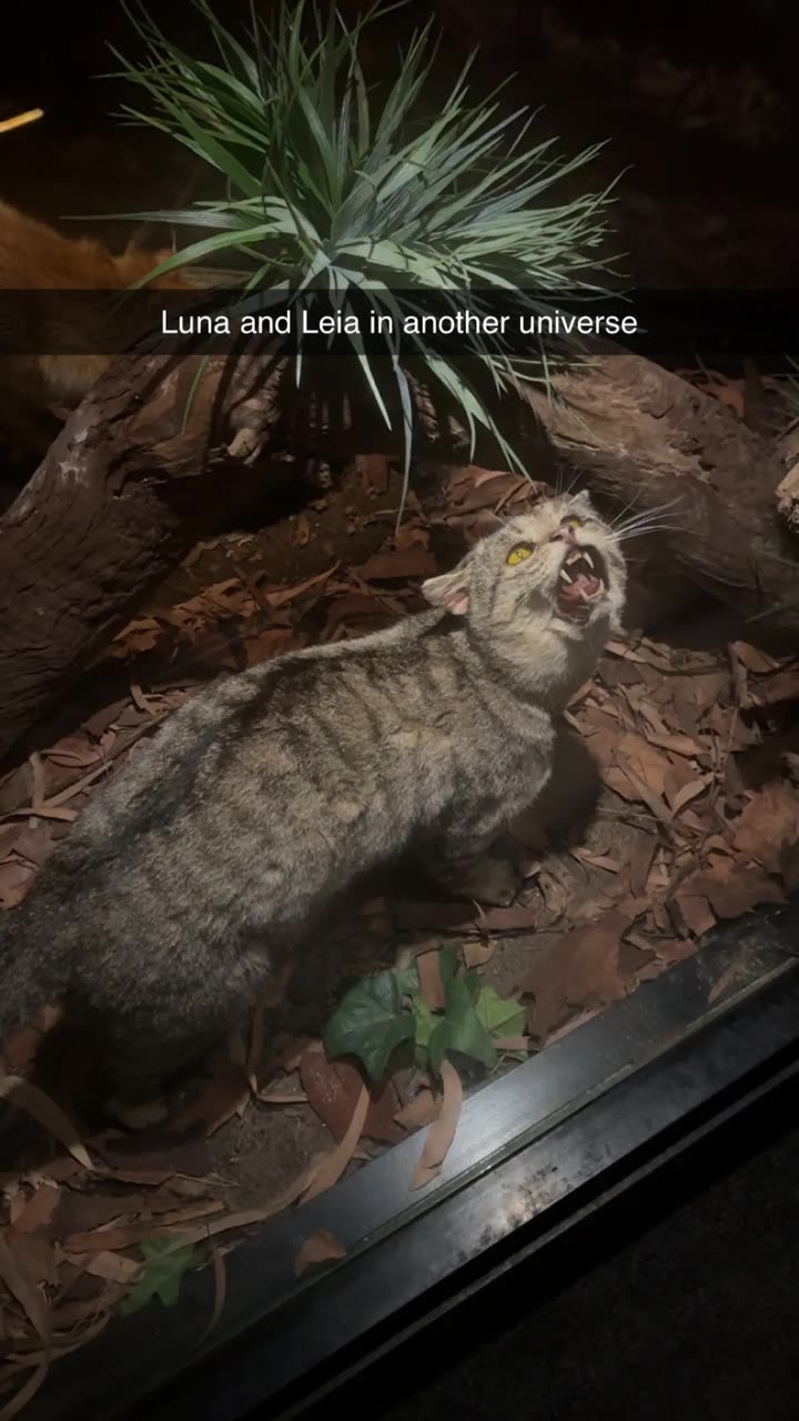 emxllouise snapchat image archive image