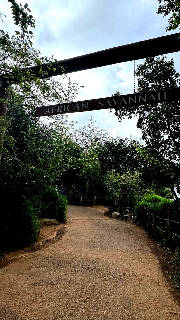 emxllouise image ~ Altpins