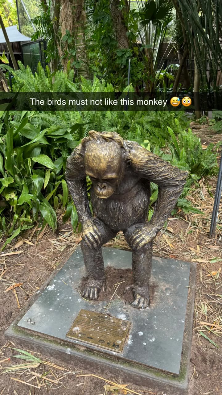 emxllouise snapchat image archive image