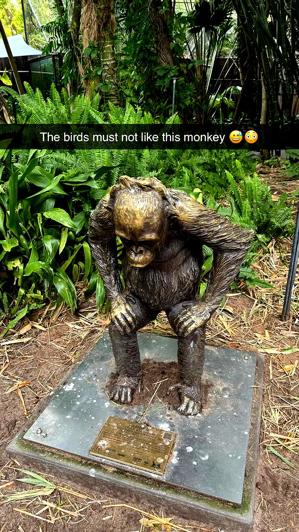 emxllouise image ~ Altpins