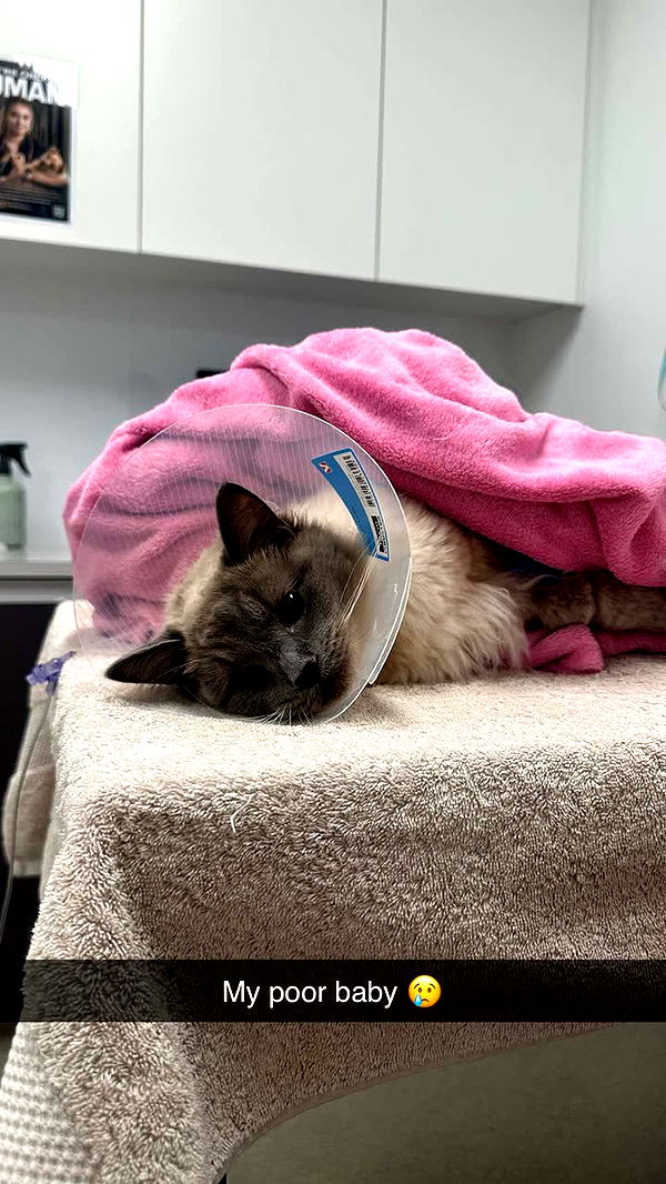 emxllouise image ~ Altpins