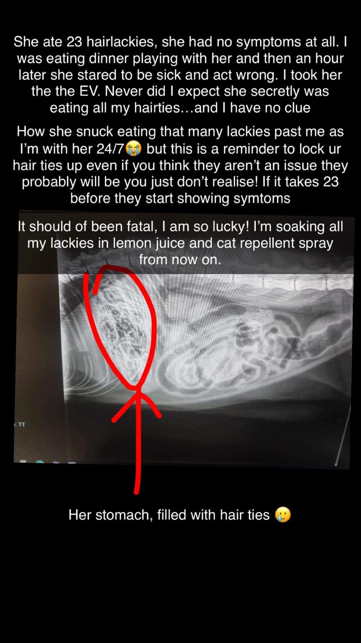 emxllouise snapchat image archive image