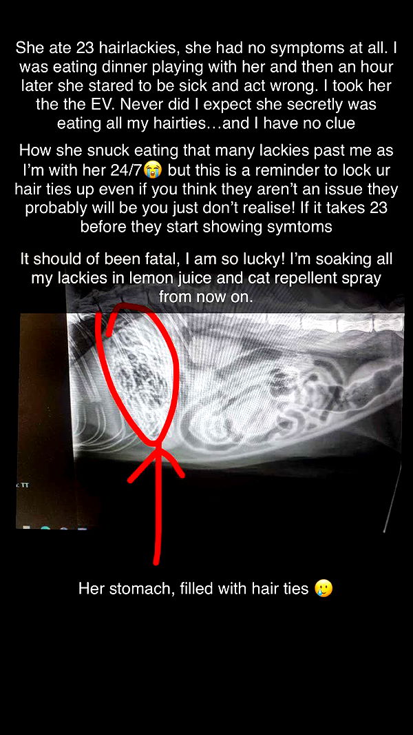 emxllouise image ~ Altpins