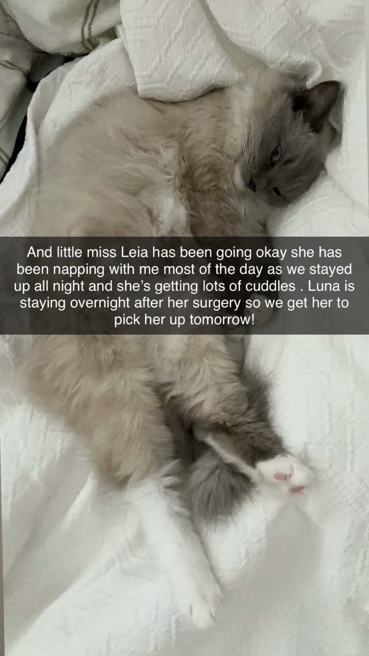 emxllouise snapchat image archive image