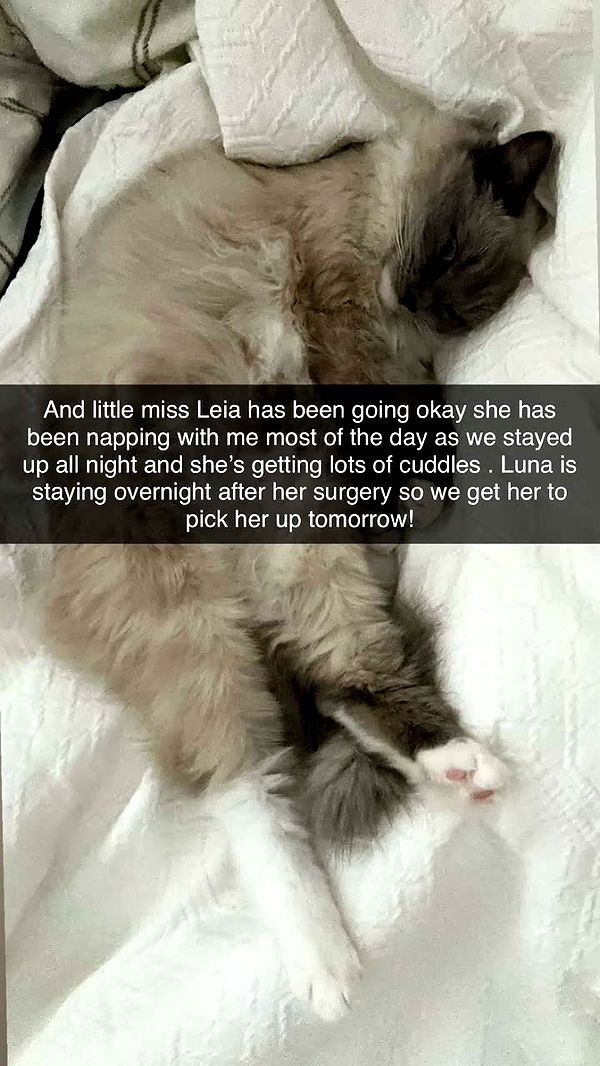 emxllouise image ~ Altpins