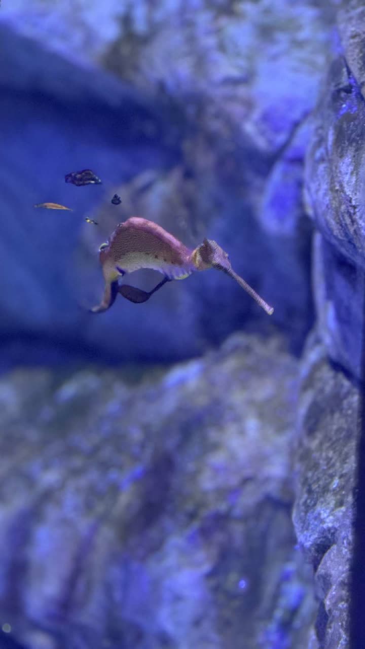 emxllouise snapchat image archive image