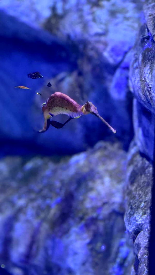 emxllouise image ~ Altpins