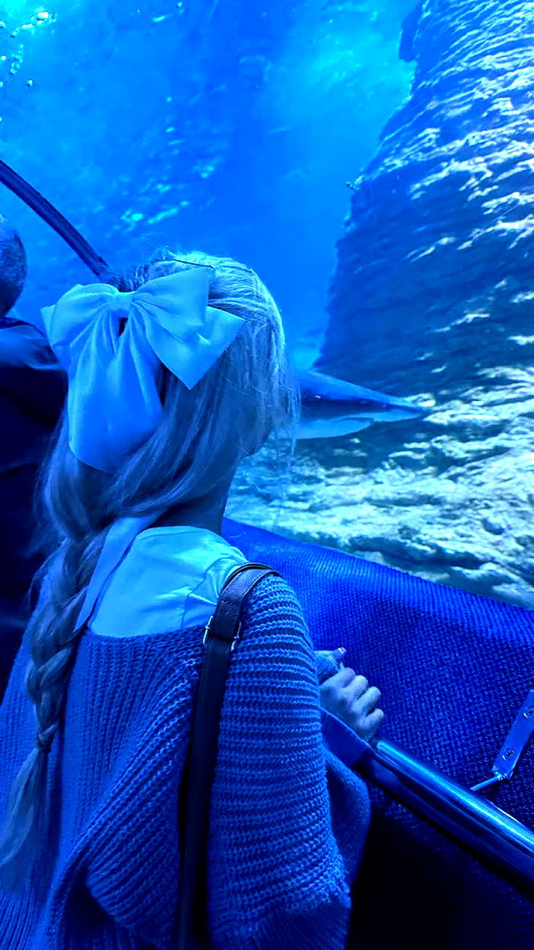 emxllouise image ~ Altpins