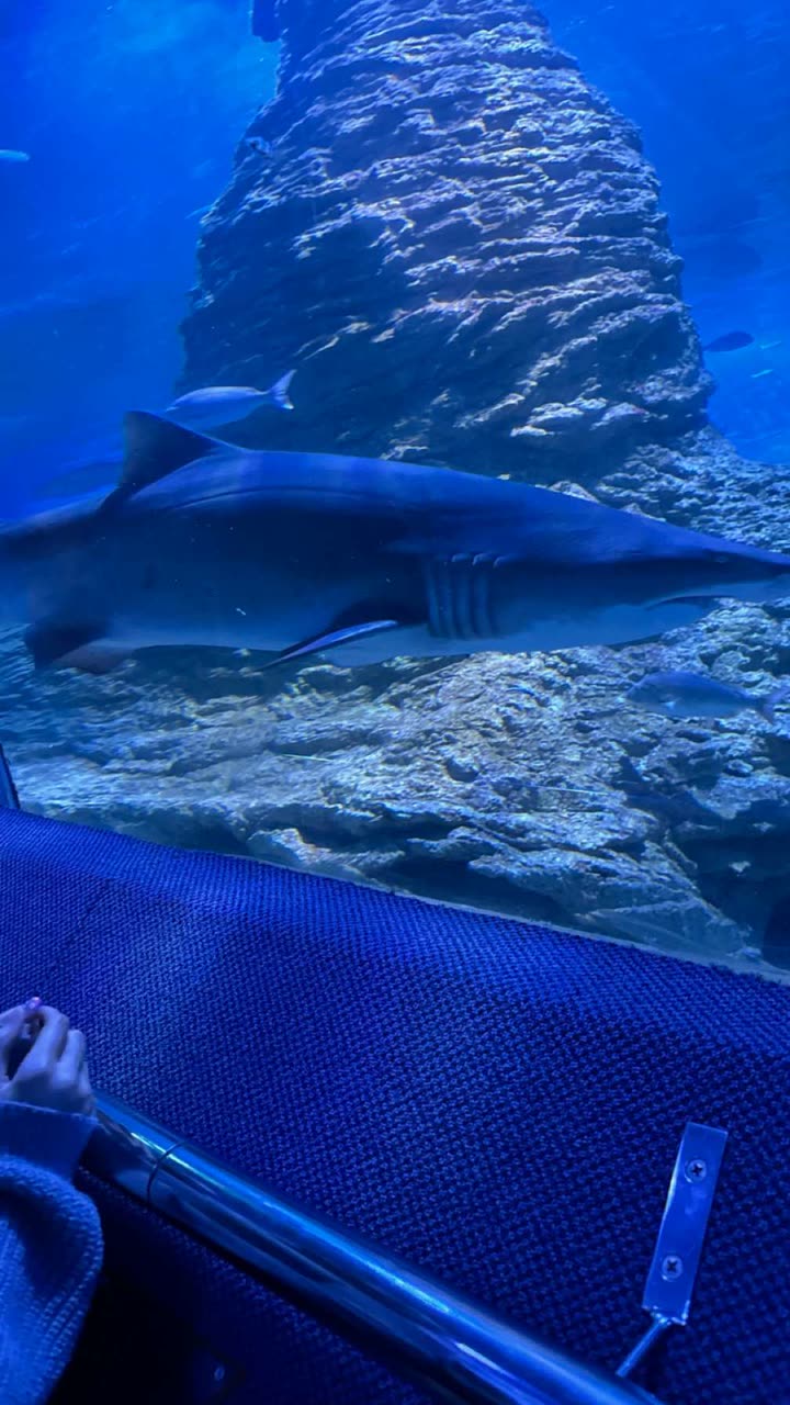 emxllouise snapchat image archive image