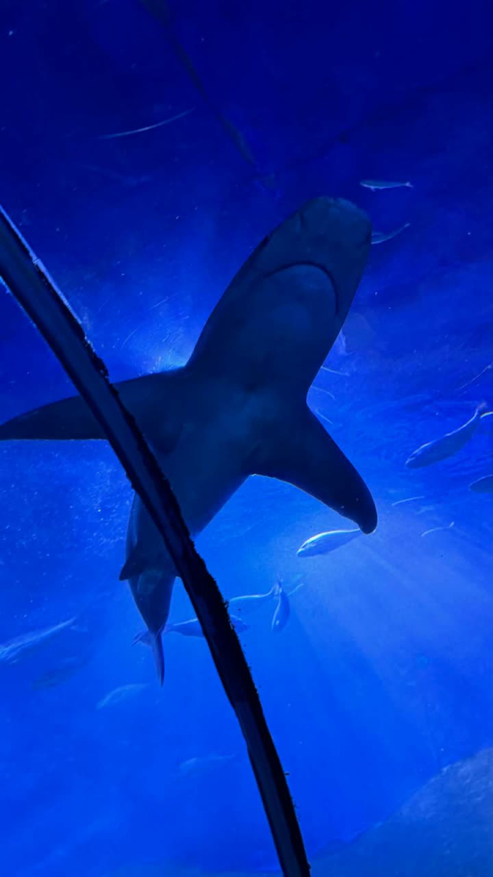 emxllouise snapchat image archive image