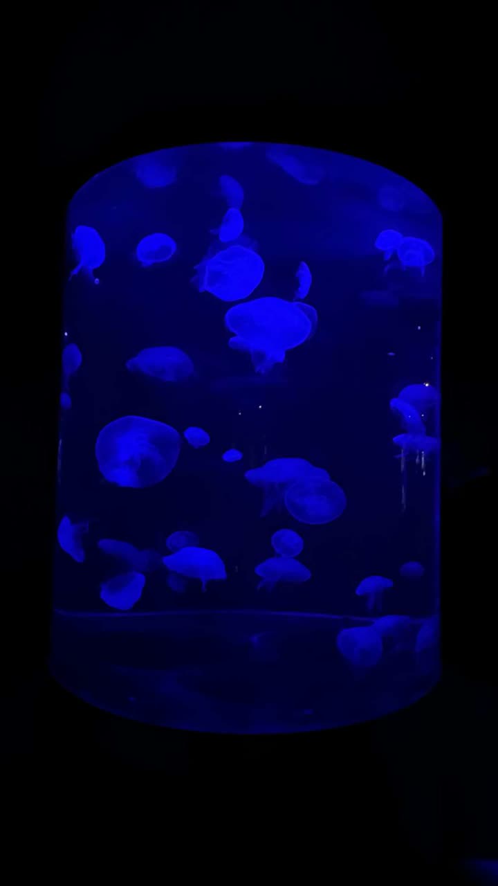 emxllouise snapchat image archive image