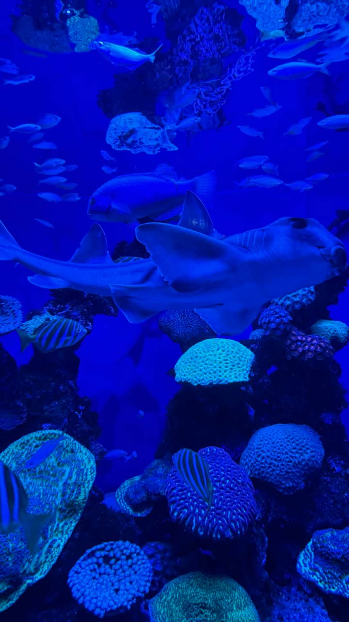 emxllouise snapchat image archive image