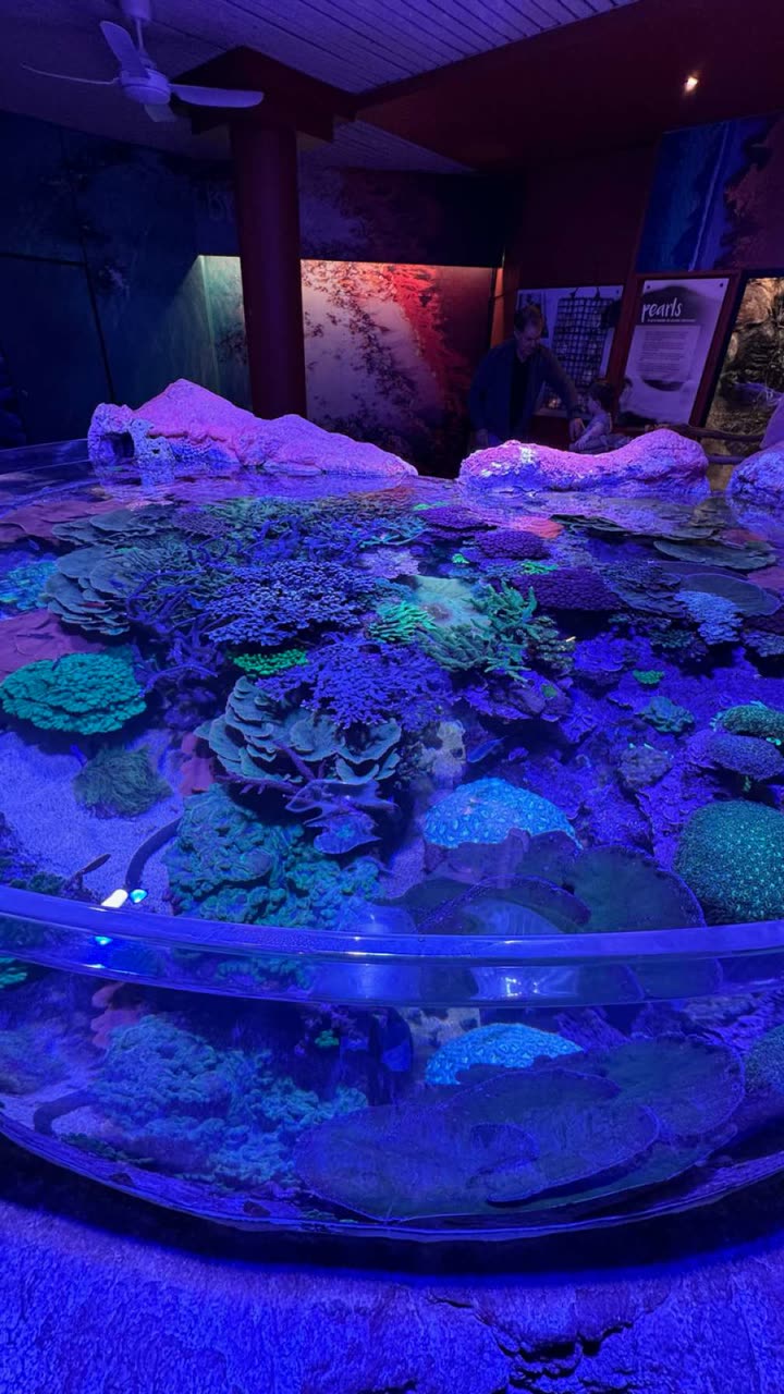 emxllouise snapchat image archive image