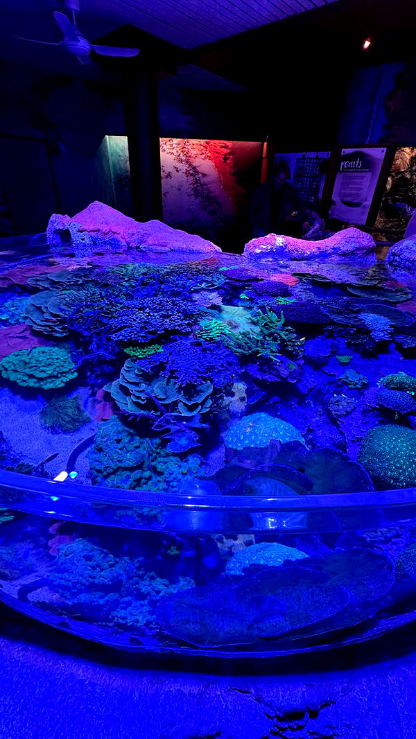 emxllouise image ~ Altpins