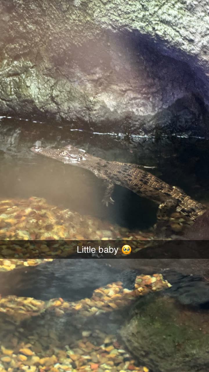 emxllouise snapchat image archive image