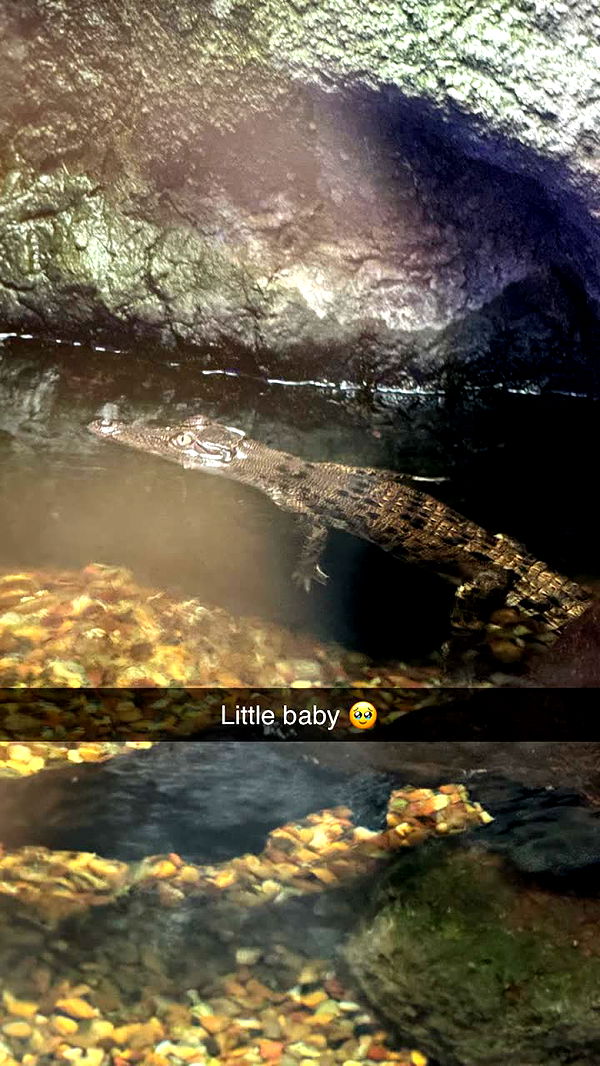 emxllouise image ~ Altpins