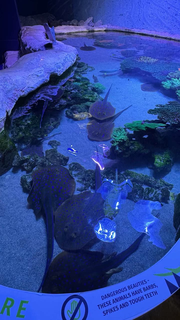 emxllouise snapchat image archive image