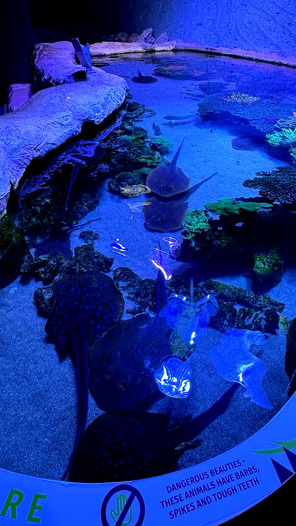 emxllouise image ~ Altpins