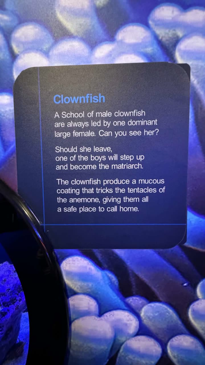 emxllouise snapchat image archive image