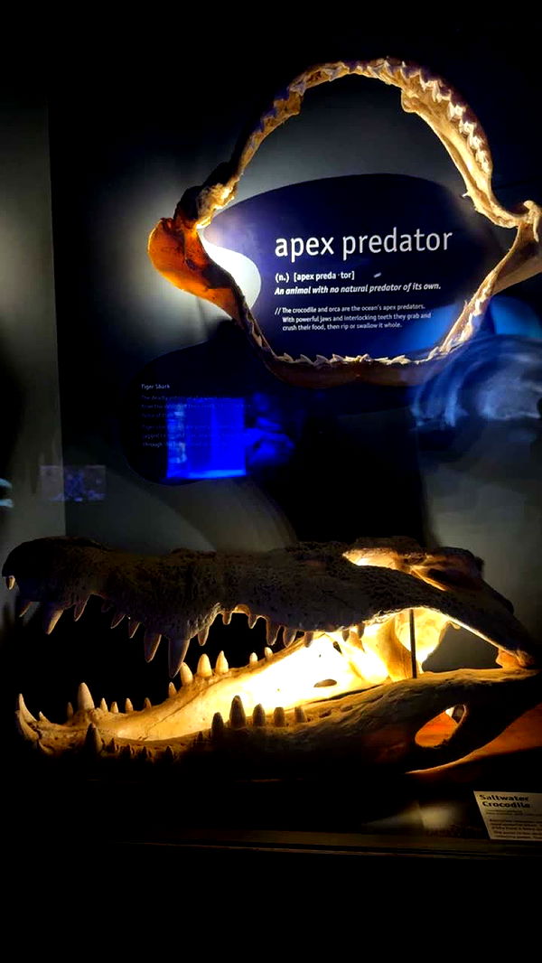 emxllouise image ~ Altpins