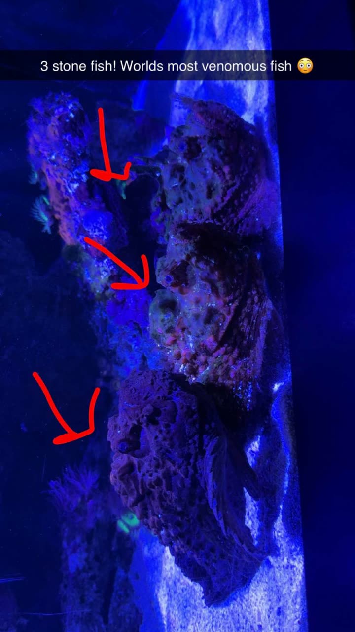 emxllouise snapchat image archive image