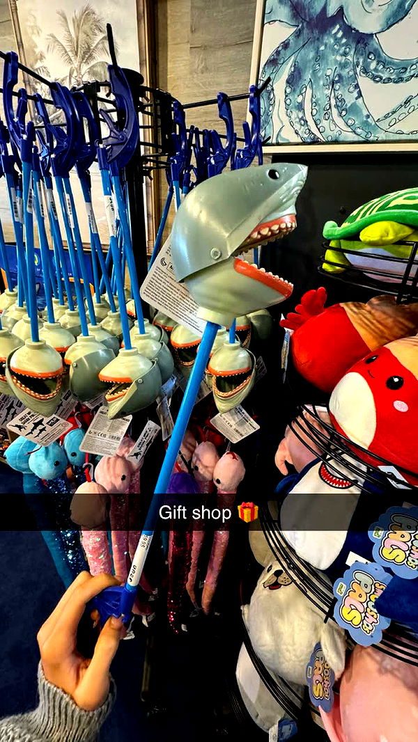 emxllouise image ~ Altpins