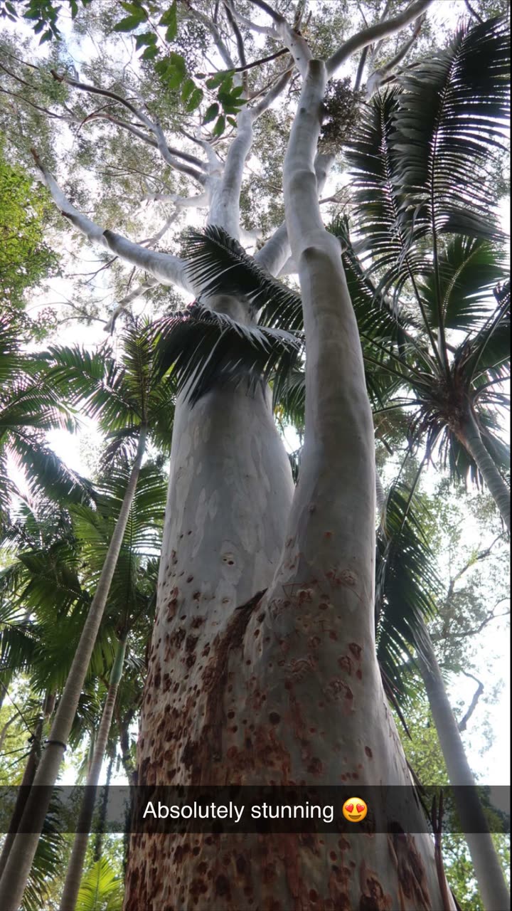 emxllouise snapchat image archive image