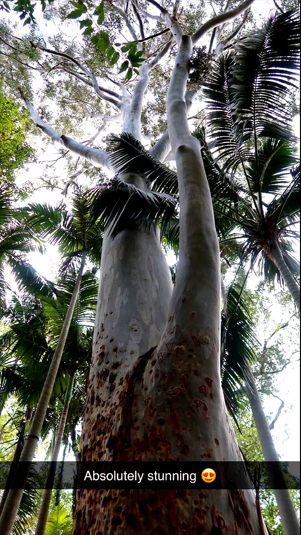 emxllouise image ~ Altpins