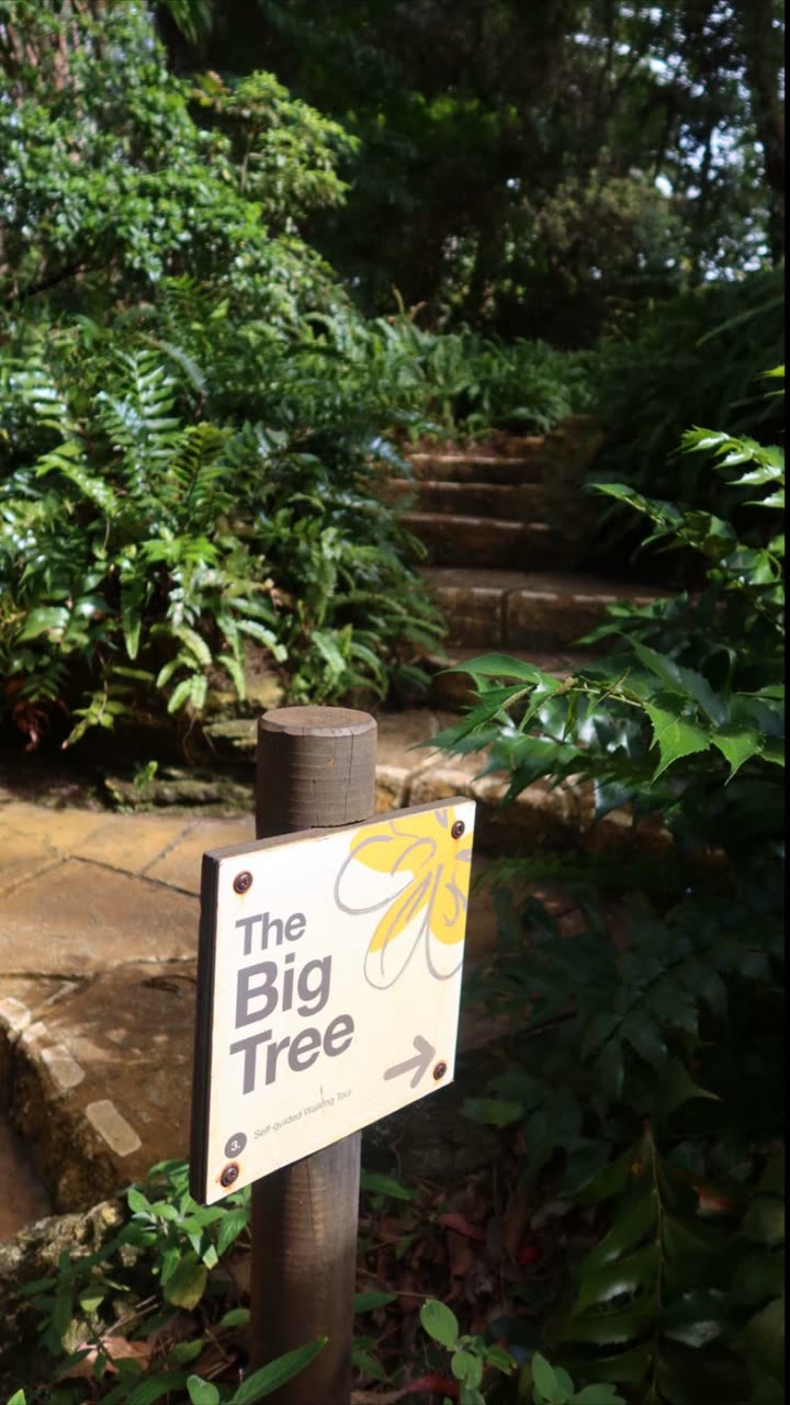 emxllouise snapchat image archive image