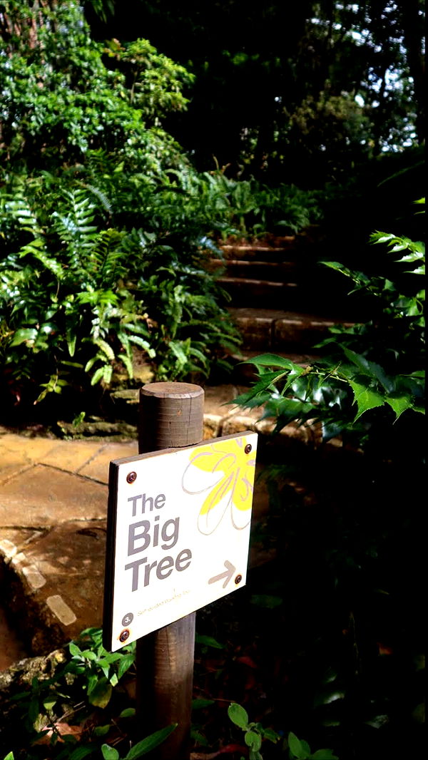 emxllouise image ~ Altpins