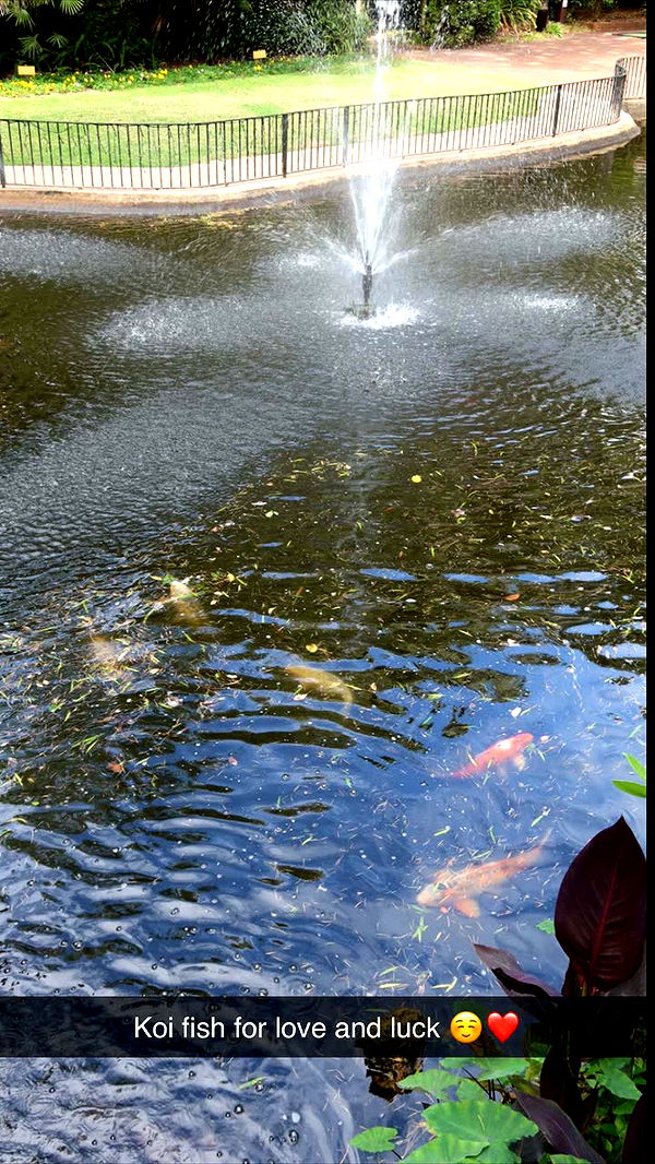 emxllouise image ~ Altpins