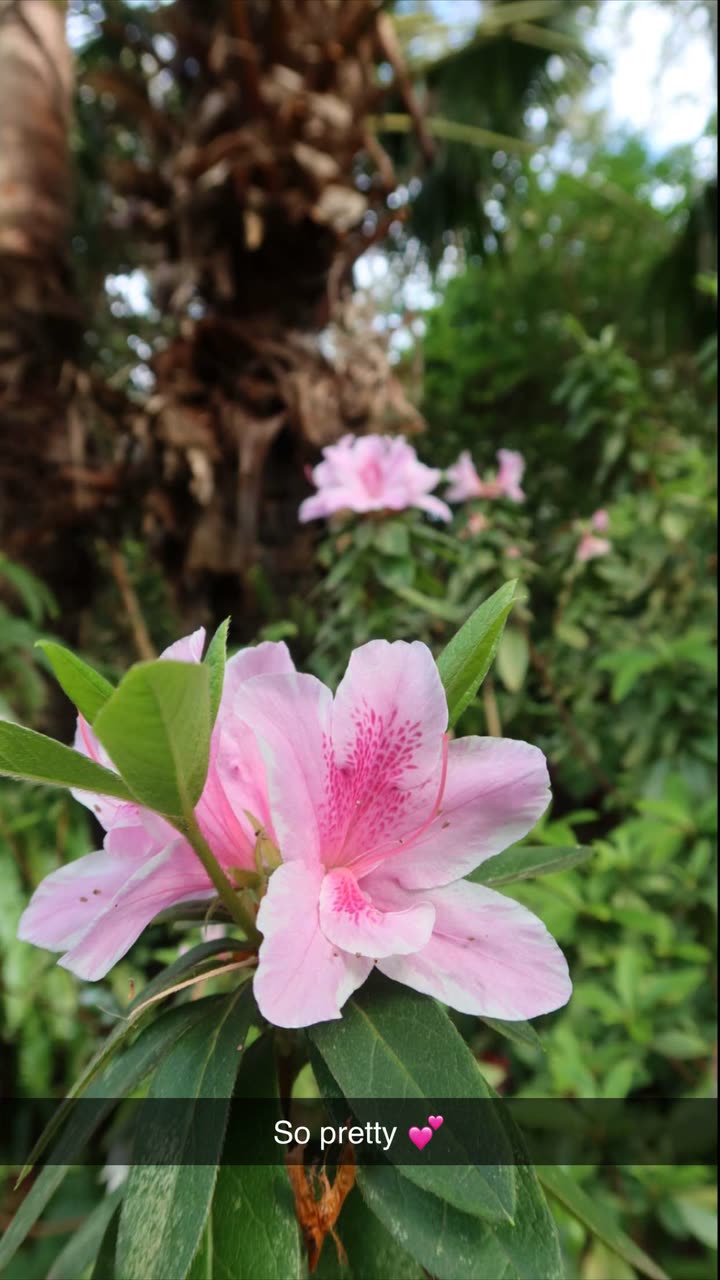 emxllouise snapchat image archive image