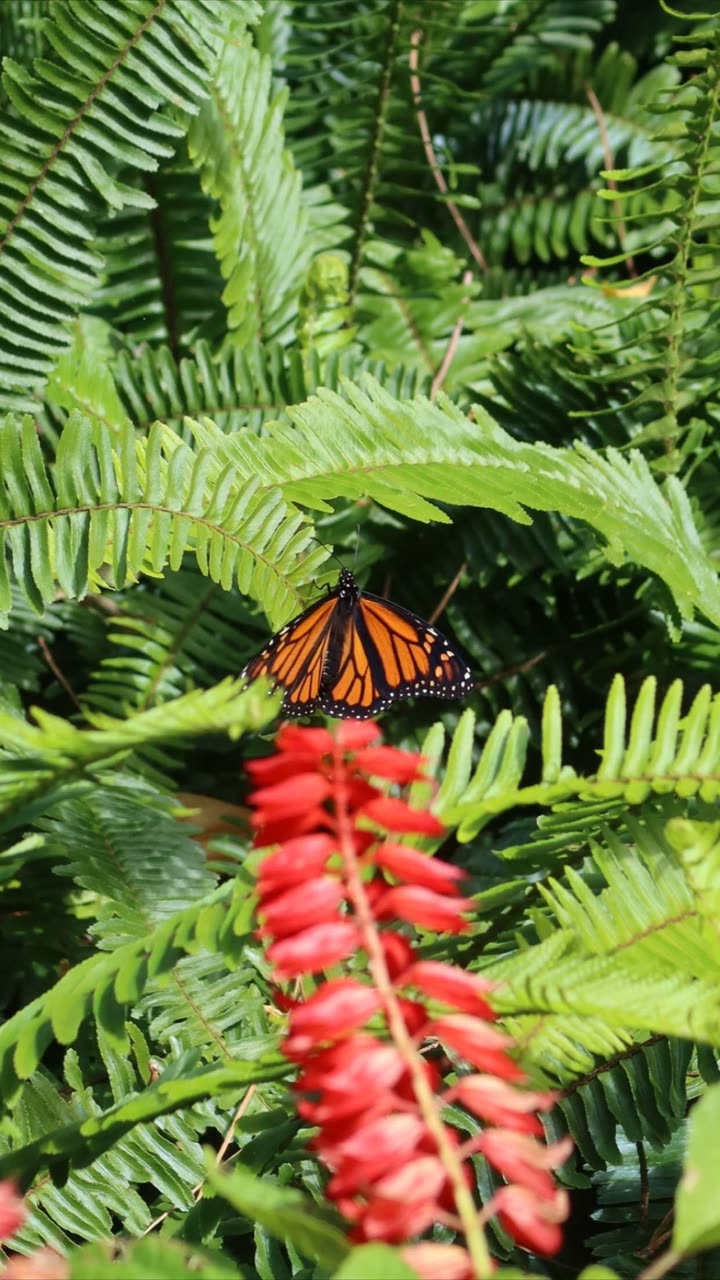 emxllouise snapchat image archive image