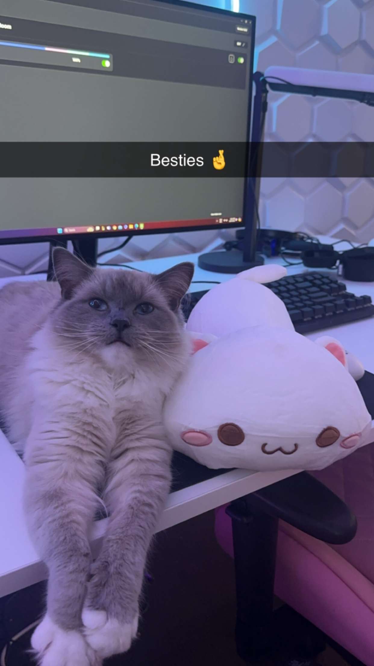 emxllouise snapchat image archive image