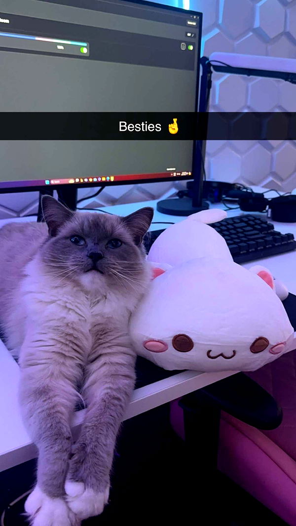 emxllouise image ~ Altpins