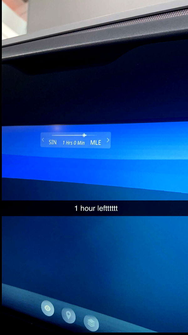 emxllouise image ~ Altpins