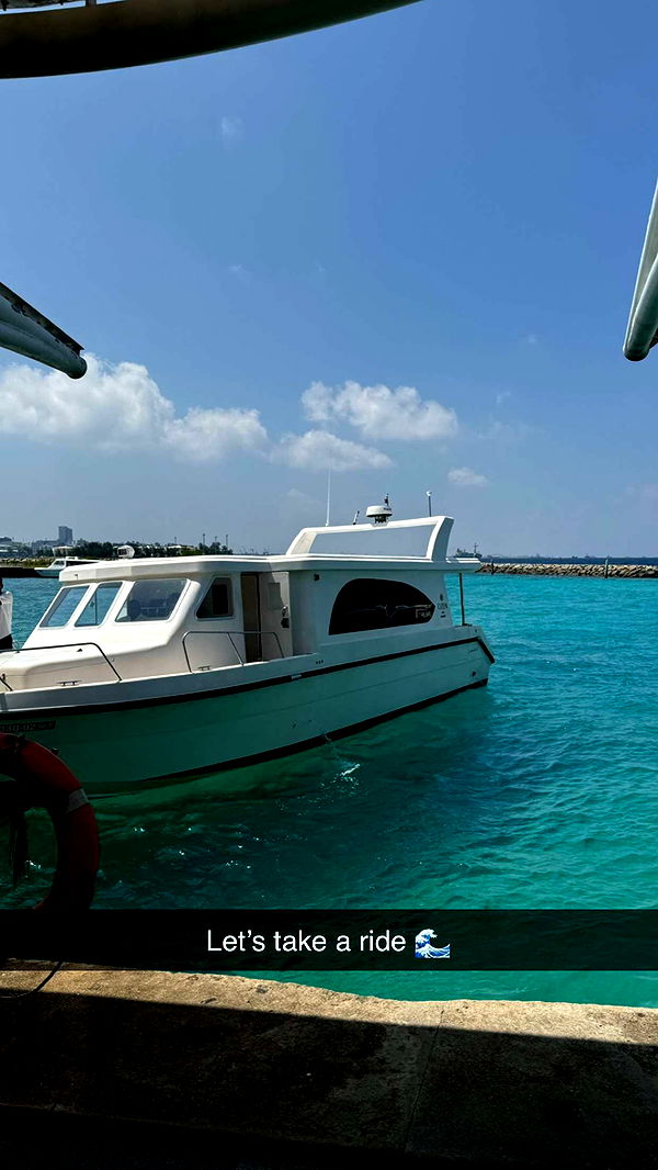 emxllouise image ~ Altpins