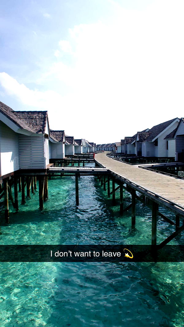 emxllouise image ~ Altpins